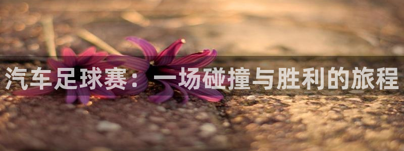 京东pg电子游戏入口